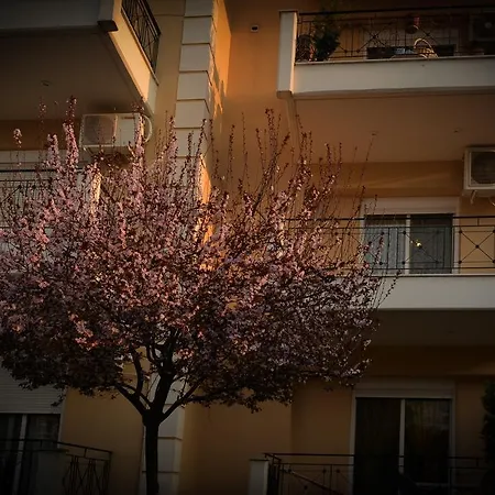 Del's Apartment